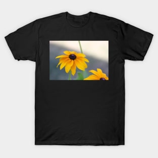 Rudbeckia T-Shirt